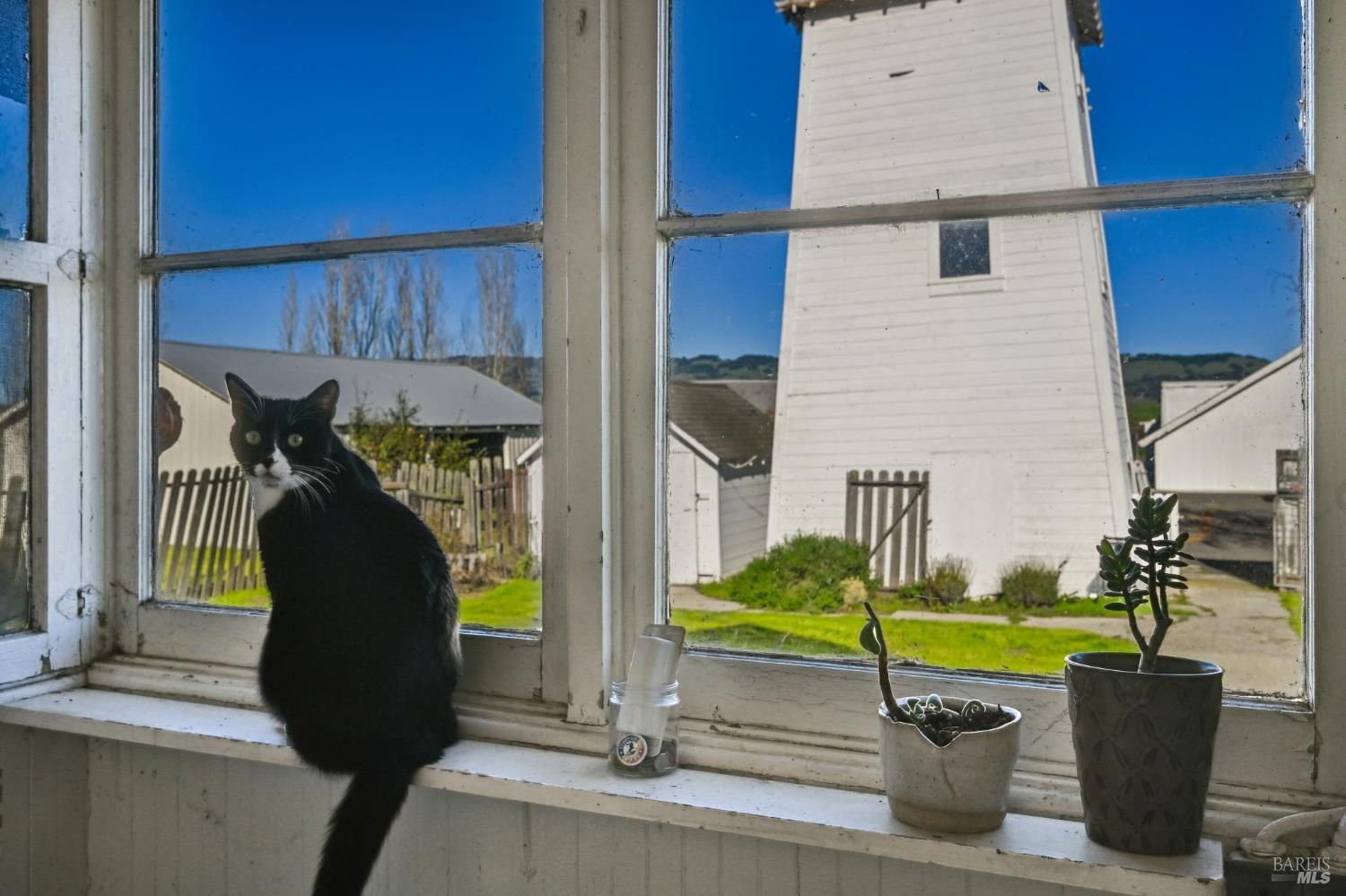 Detail Gallery Image 62 of 89 For 3957 Lakeville Hwy, Petaluma,  CA 94954 - 5 Beds | 2 Baths