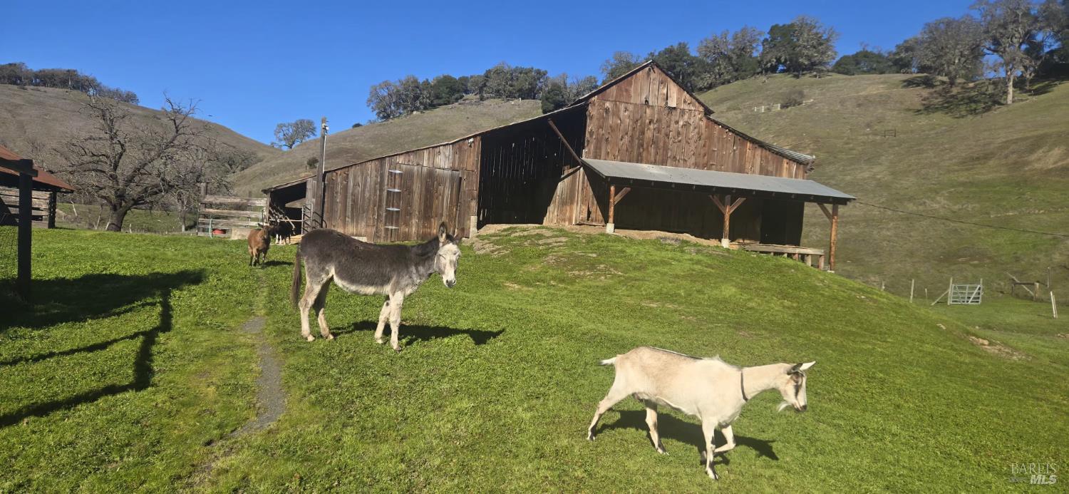 Front Image Thumbnail for BA325094997