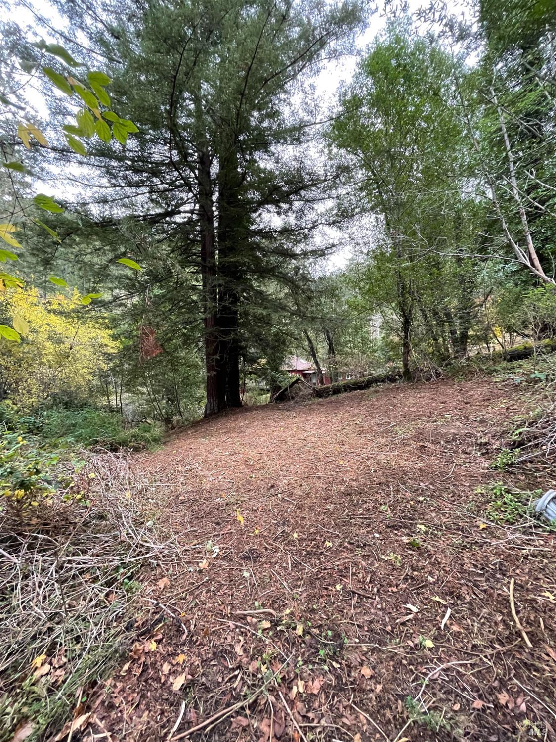 Detail Gallery Image 6 of 7 For 136 Lagunitas Rd, Lagunitas,  CA 94938 - – Beds | – Baths