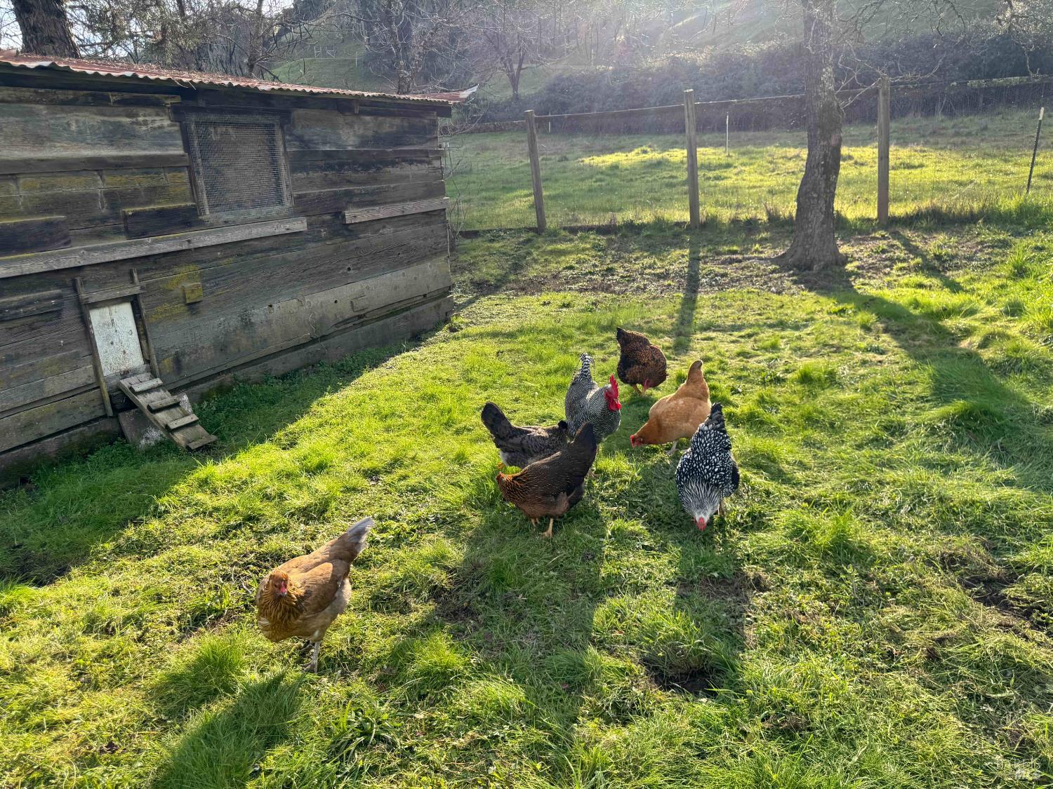 Detail Gallery Image 37 of 50 For 7420 Eastside Potter Valley Rd, Ukiah,  CA 95482 - 3 Beds | 2 Baths