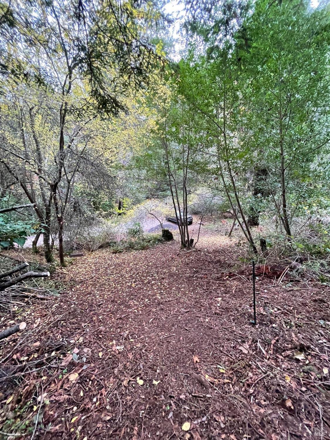 Detail Gallery Image 7 of 7 For 136 Lagunitas Rd, Lagunitas,  CA 94938 - – Beds | – Baths