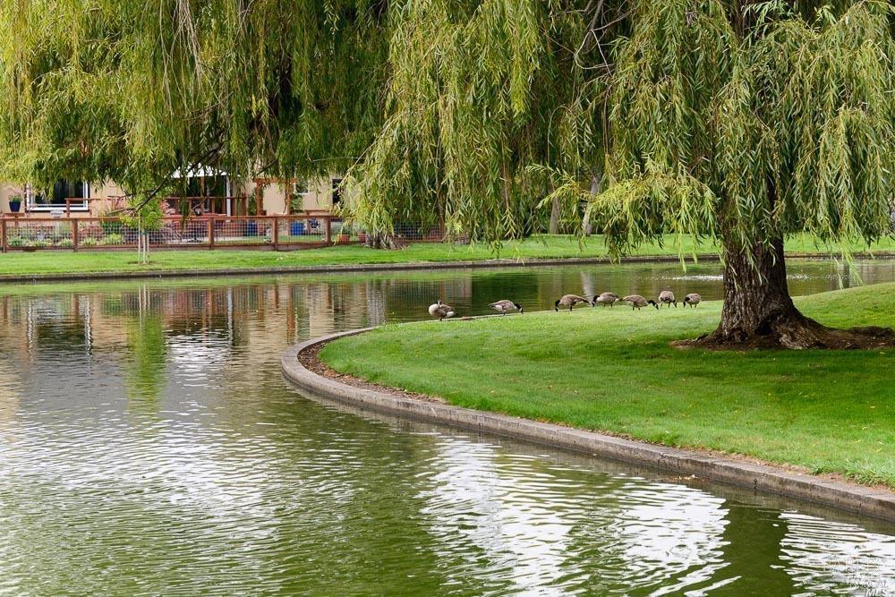 Detail Gallery Image 41 of 51 For 9636 Lakewood Dr, Windsor,  CA 95492 - 2 Beds | 2 Baths