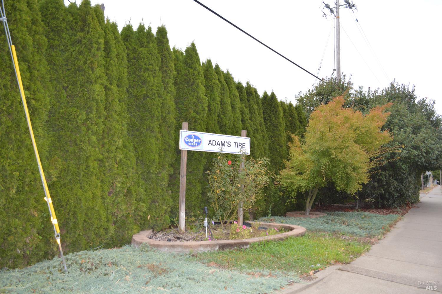 Detail Gallery Image 3 of 30 For 230 Shell Ln, Willits,  CA 95490 - – Beds | – Baths