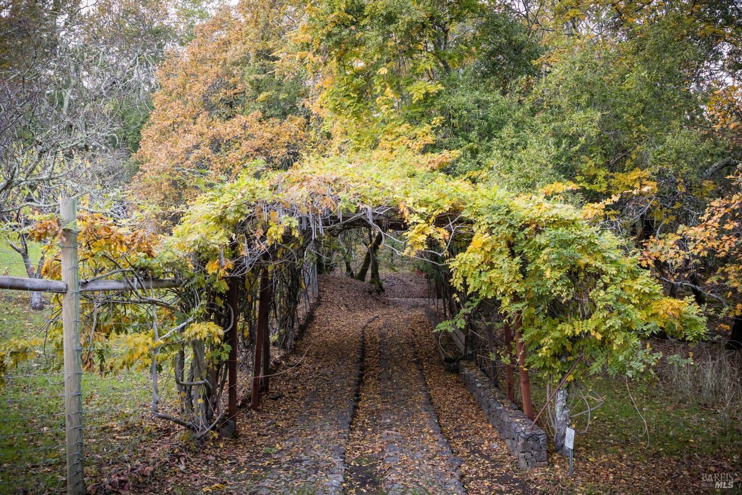 Detail Gallery Image 31 of 37 For 18730 Canyon Rd, Sonoma,  CA 95476 - 4 Beds | 4/1 Baths