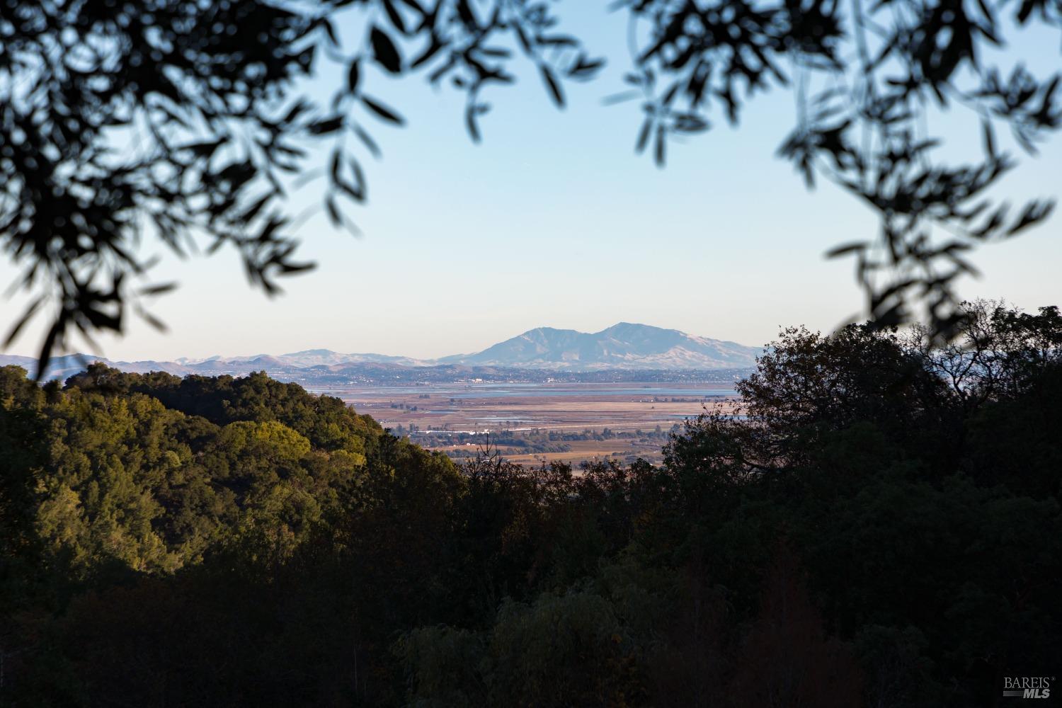 Detail Gallery Image 37 of 37 For 18730 Canyon Rd, Sonoma,  CA 95476 - 4 Beds | 4/1 Baths