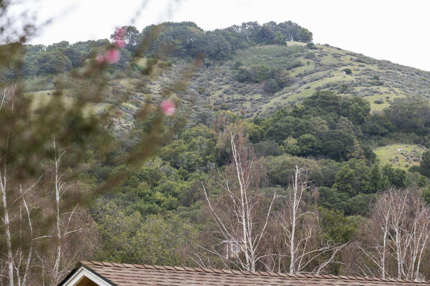 Detail Gallery Image 54 of 74 For 55 Las Casas Dr, San Rafael,  CA 94901 - 3 Beds | 2/1 Baths