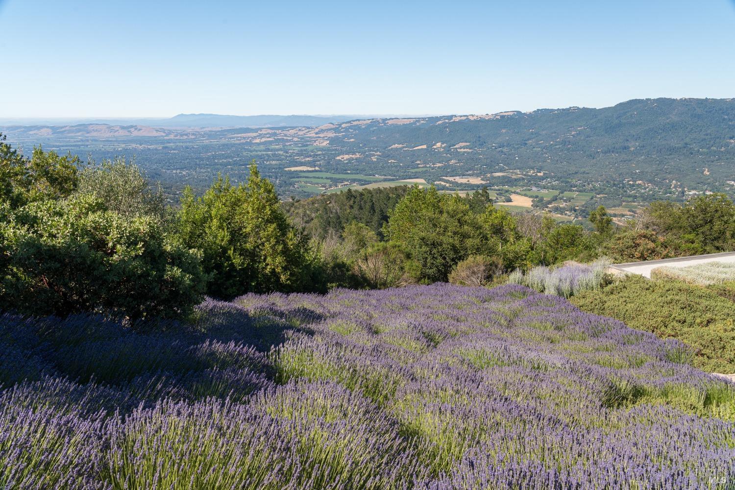 Detail Gallery Image 33 of 33 For 2947 Cavedale Rd, Glen Ellen,  CA 95442 - 3 Beds | 3/1 Baths