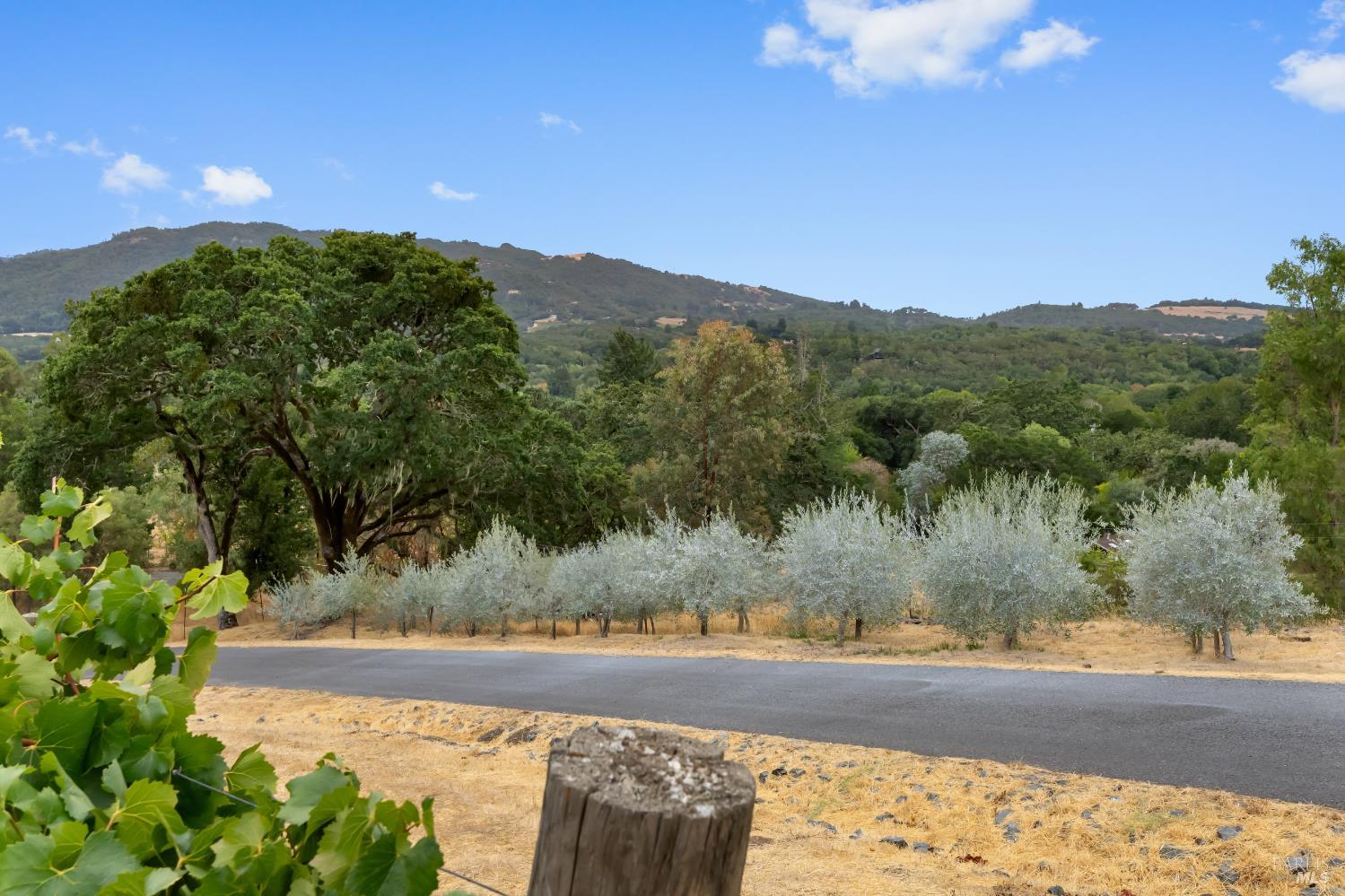 Detail Gallery Image 32 of 41 For 2220 Warm Springs Rd, Glen Ellen,  CA 95442 - 4 Beds | 4/1 Baths