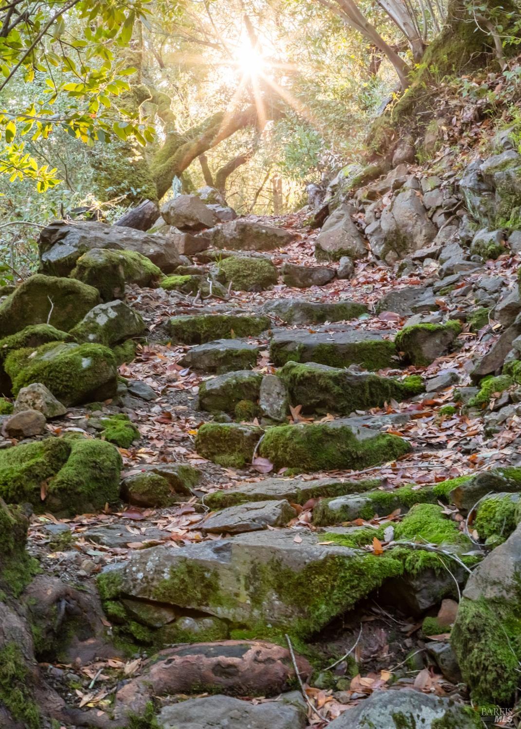 Detail Gallery Image 33 of 37 For 18730 Canyon Rd, Sonoma,  CA 95476 - 4 Beds | 4/1 Baths
