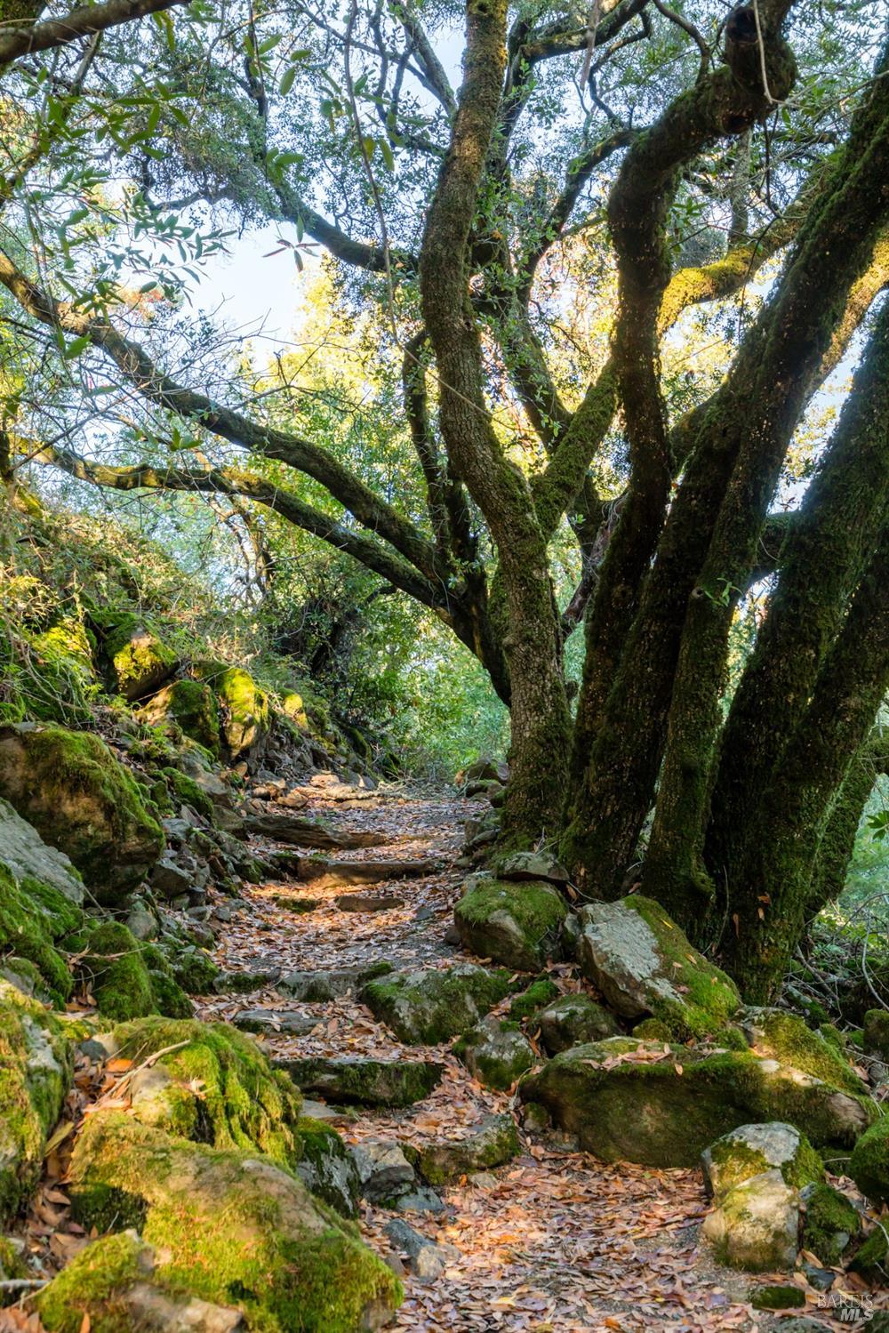 Detail Gallery Image 30 of 37 For 18730 Canyon Rd, Sonoma,  CA 95476 - 4 Beds | 4/1 Baths