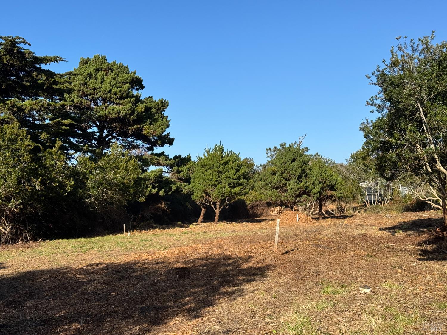 Front Image Thumbnail for BA326005724