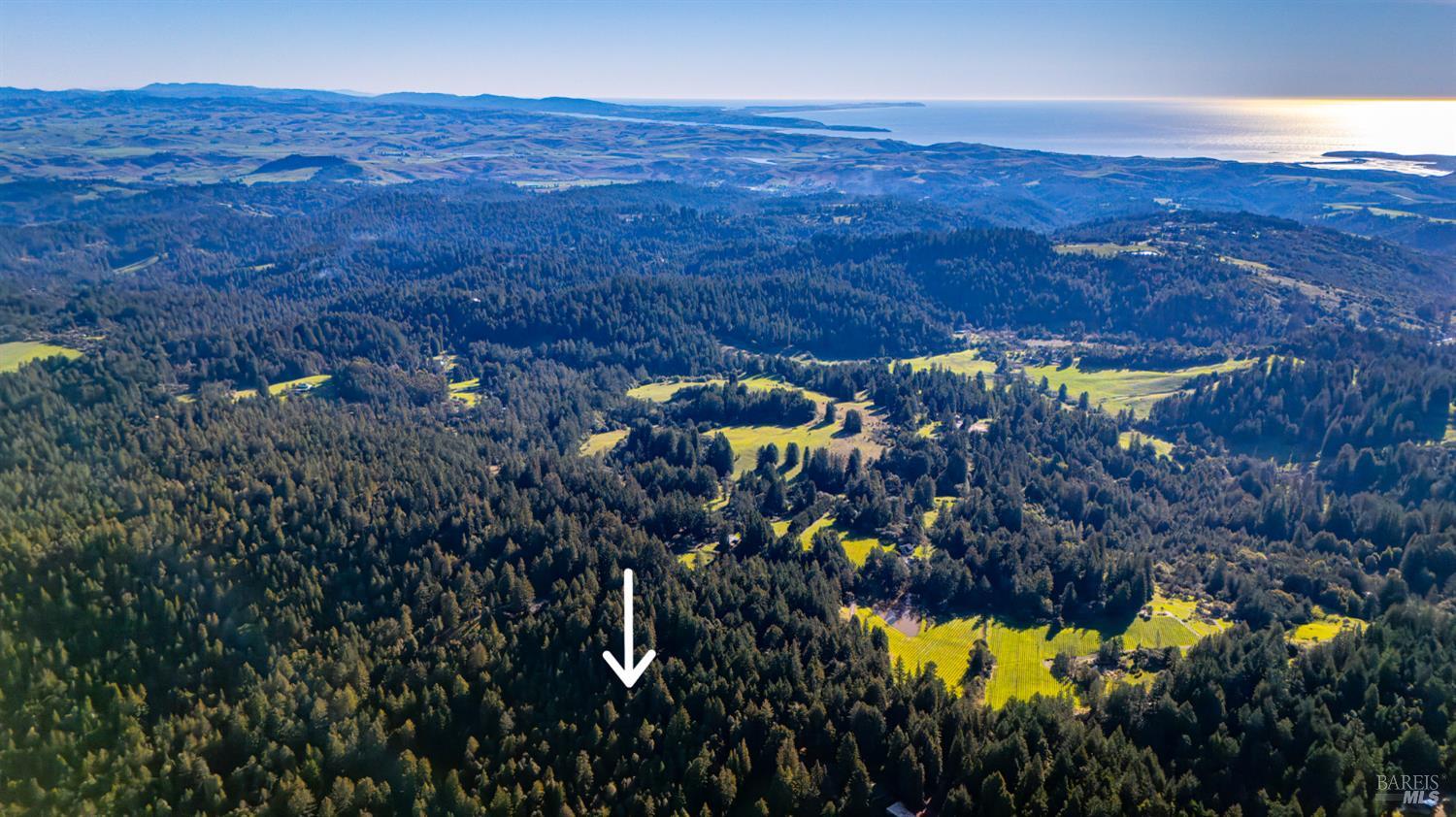 Detail Gallery Image 5 of 30 For 17470 Willow Creek Rd, Occidental,  CA 95465 - – Beds | – Baths