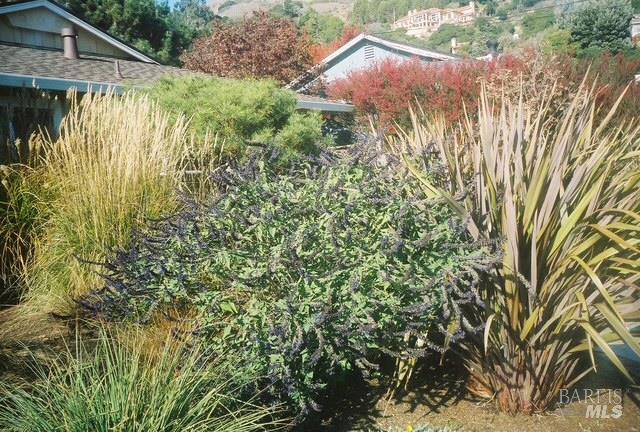 Detail Gallery Image 63 of 74 For 55 Las Casas Dr, San Rafael,  CA 94901 - 3 Beds | 2/1 Baths