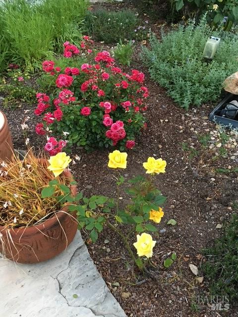 Detail Gallery Image 73 of 74 For 55 Las Casas Dr, San Rafael,  CA 94901 - 3 Beds | 2/1 Baths