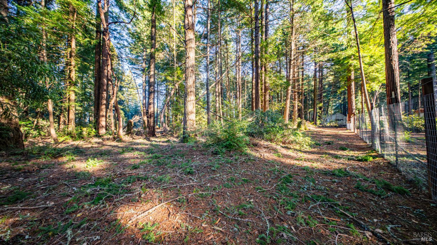 Detail Gallery Image 26 of 30 For 17470 Willow Creek Rd, Occidental,  CA 95465 - – Beds | – Baths