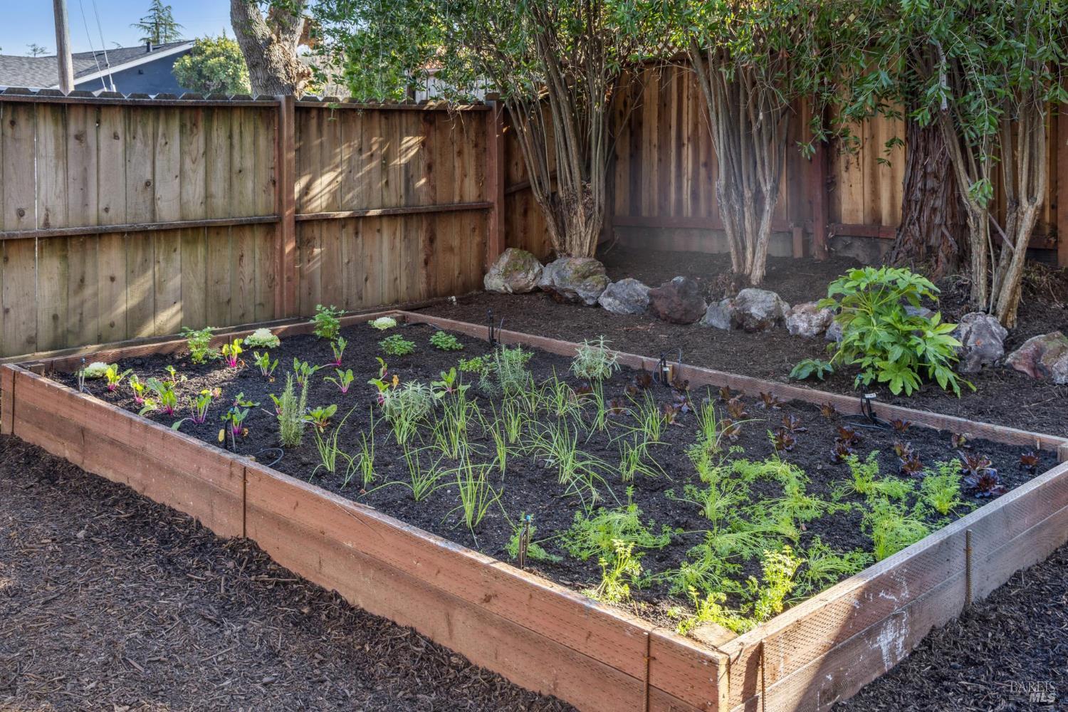 Detail Gallery Image 48 of 54 For 3 Fabian Ct, Novato,  CA 94947 - 3 Beds | 2 Baths