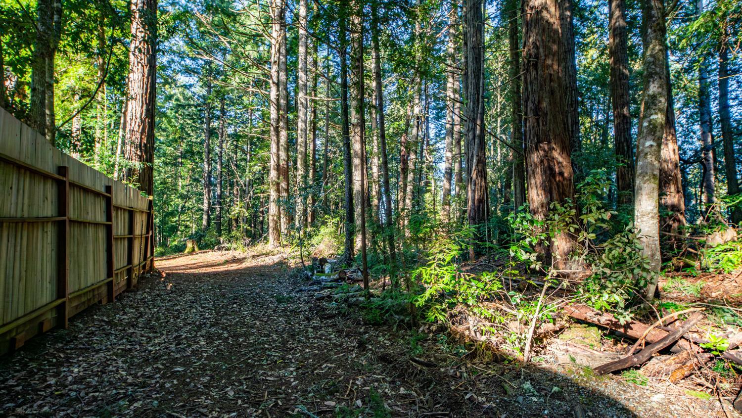 Detail Gallery Image 12 of 30 For 17470 Willow Creek Rd, Occidental,  CA 95465 - – Beds | – Baths