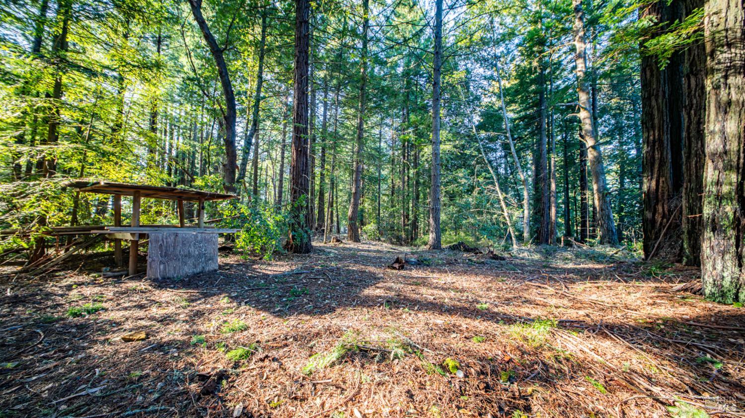 Detail Gallery Image 20 of 30 For 17470 Willow Creek Rd, Occidental,  CA 95465 - – Beds | – Baths