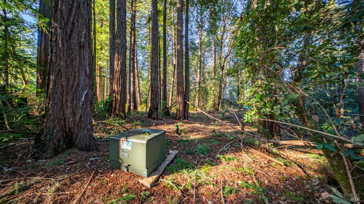 Detail Gallery Image 16 of 30 For 17470 Willow Creek Rd, Occidental,  CA 95465 - – Beds | – Baths