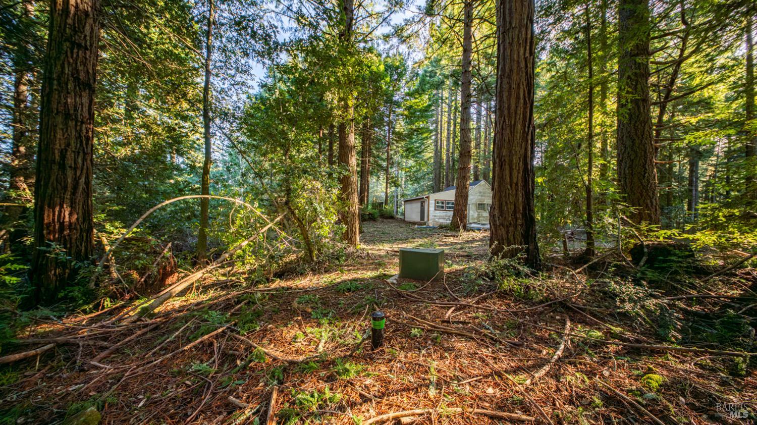 Detail Gallery Image 17 of 30 For 17470 Willow Creek Rd, Occidental,  CA 95465 - – Beds | – Baths