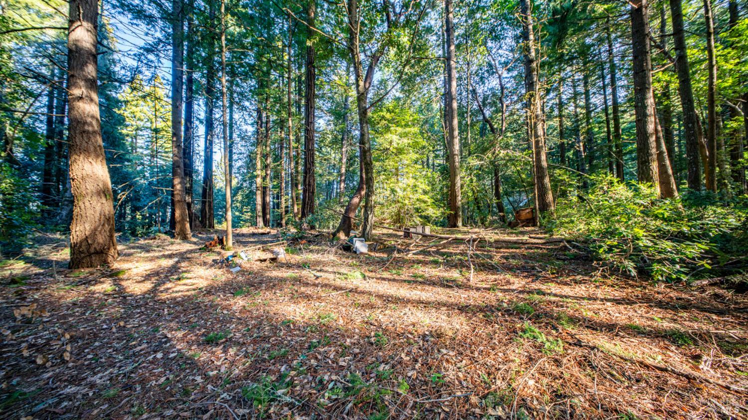 Detail Gallery Image 23 of 30 For 17470 Willow Creek Rd, Occidental,  CA 95465 - – Beds | – Baths