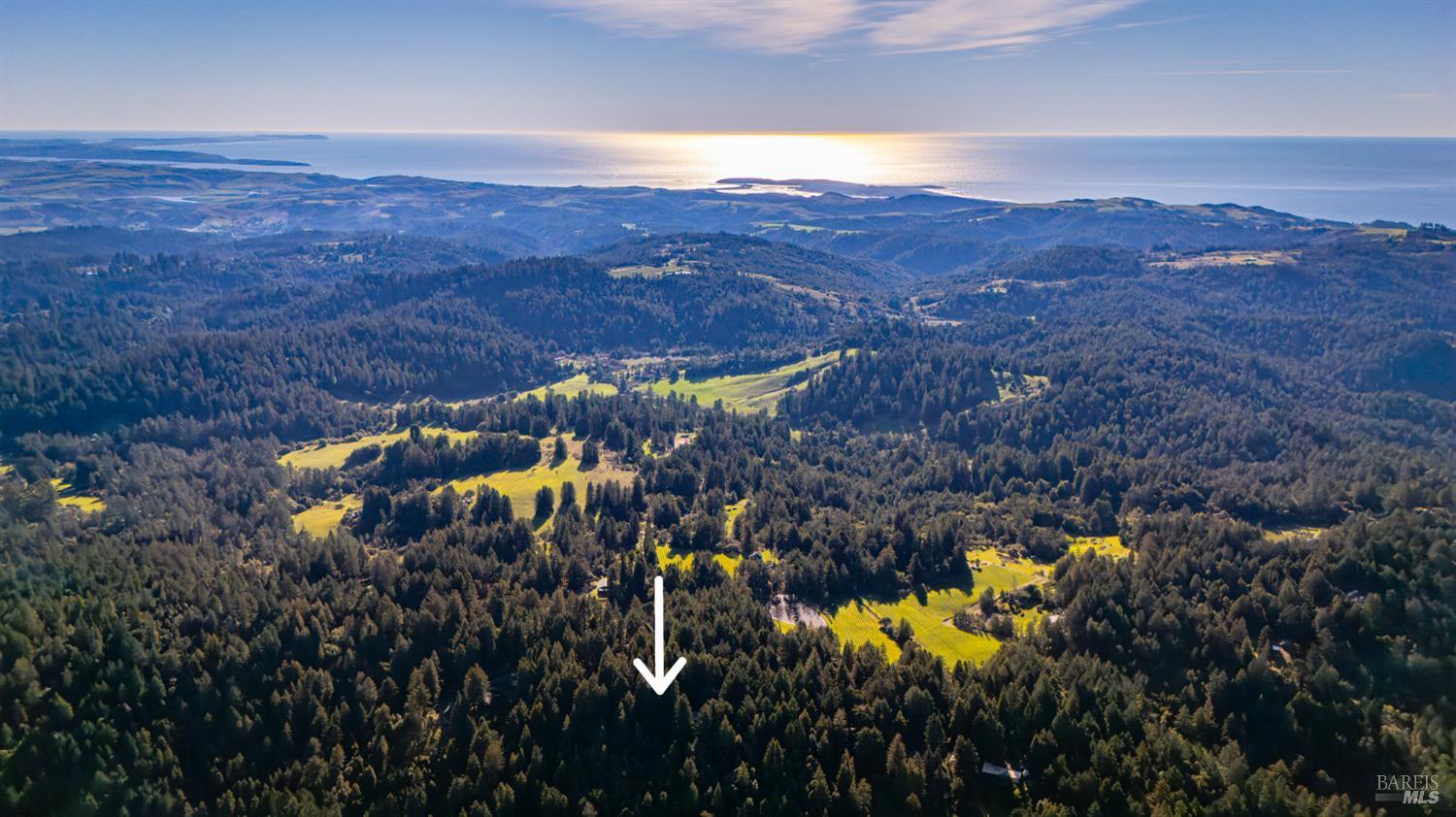 Detail Gallery Image 6 of 30 For 17470 Willow Creek Rd, Occidental,  CA 95465 - – Beds | – Baths