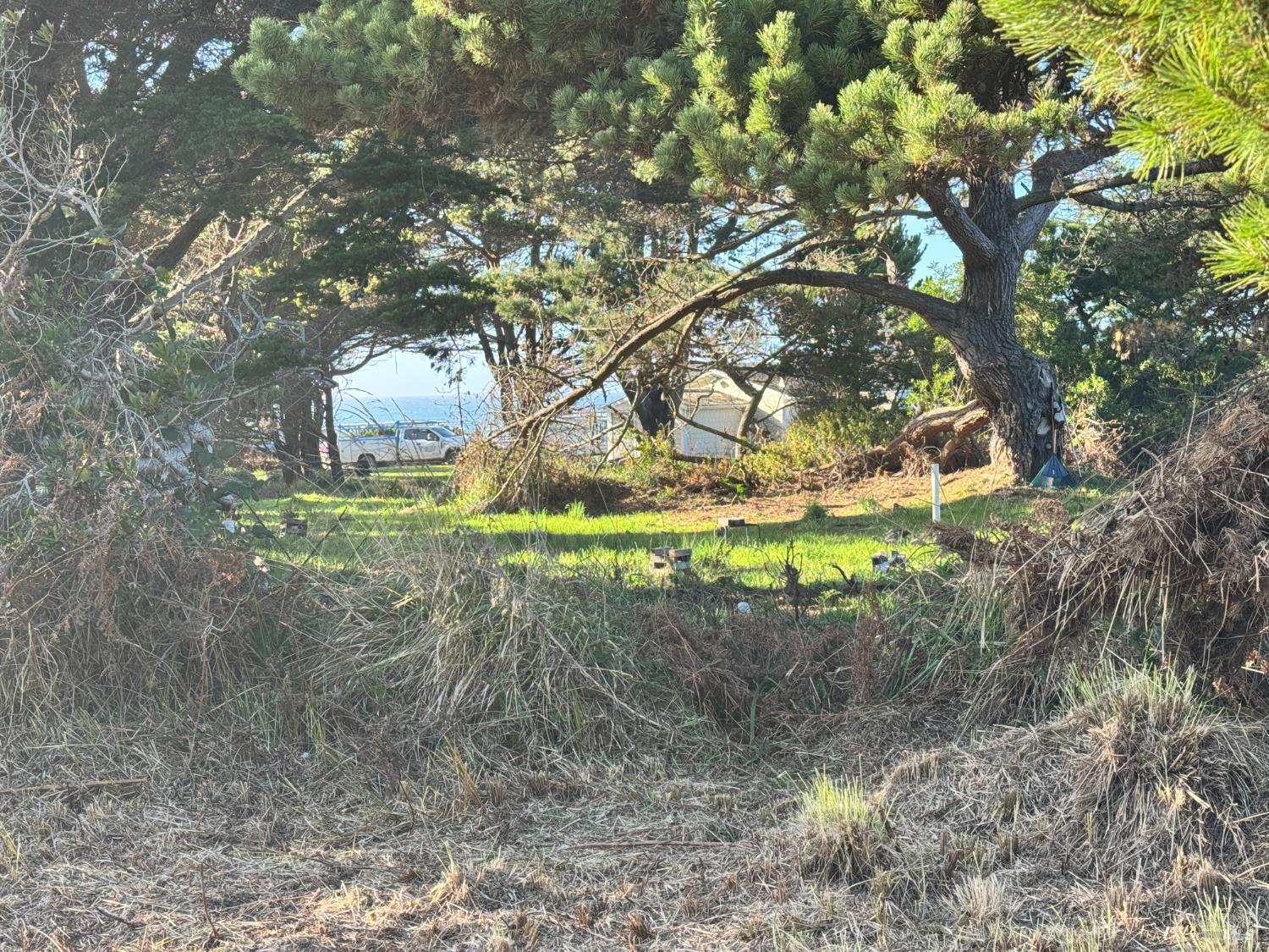 Detail Gallery Image 3 of 4 For 25261 Ward Ave, Fort Bragg,  CA 95437 - – Beds | – Baths