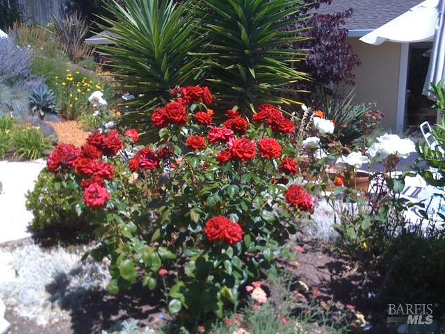 Detail Gallery Image 66 of 74 For 55 Las Casas Dr, San Rafael,  CA 94901 - 3 Beds | 2/1 Baths