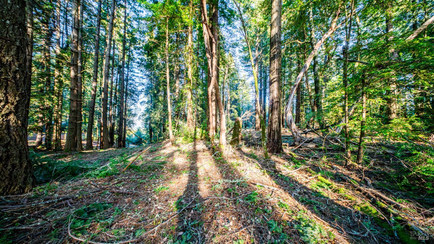 Detail Gallery Image 24 of 30 For 17470 Willow Creek Rd, Occidental,  CA 95465 - – Beds | – Baths