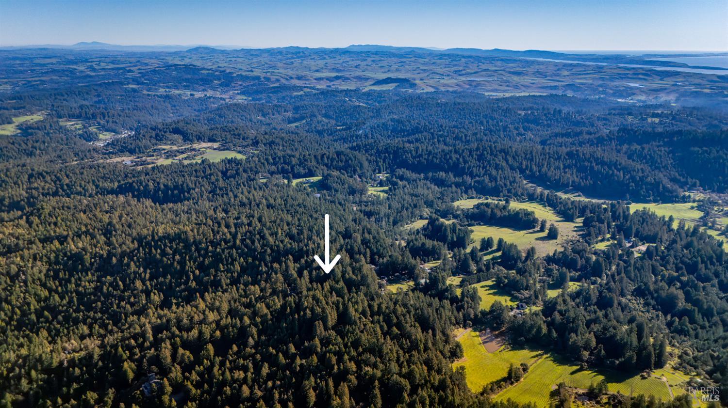 Detail Gallery Image 4 of 30 For 17470 Willow Creek Rd, Occidental,  CA 95465 - – Beds | – Baths