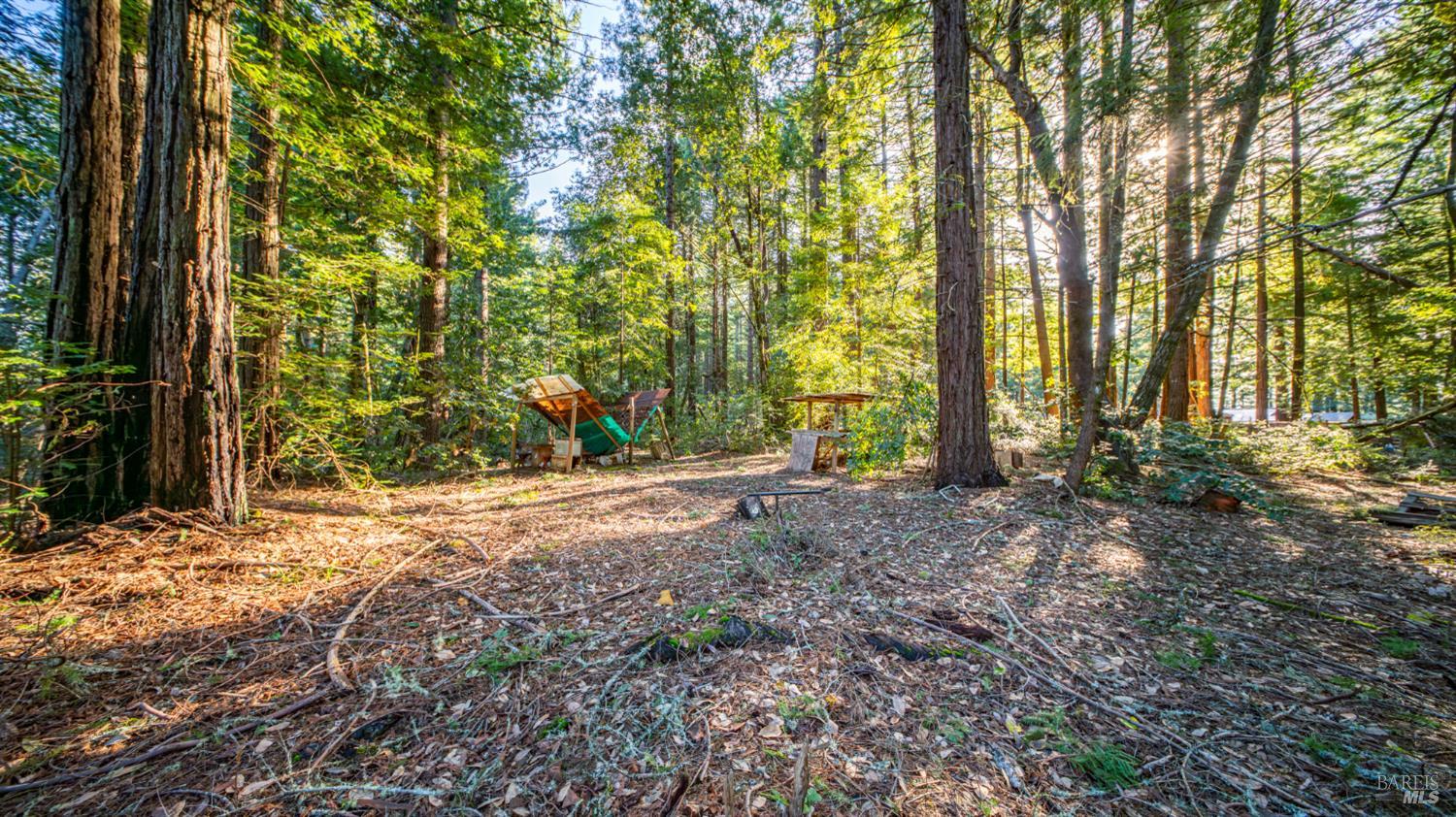 Detail Gallery Image 21 of 30 For 17470 Willow Creek Rd, Occidental,  CA 95465 - – Beds | – Baths