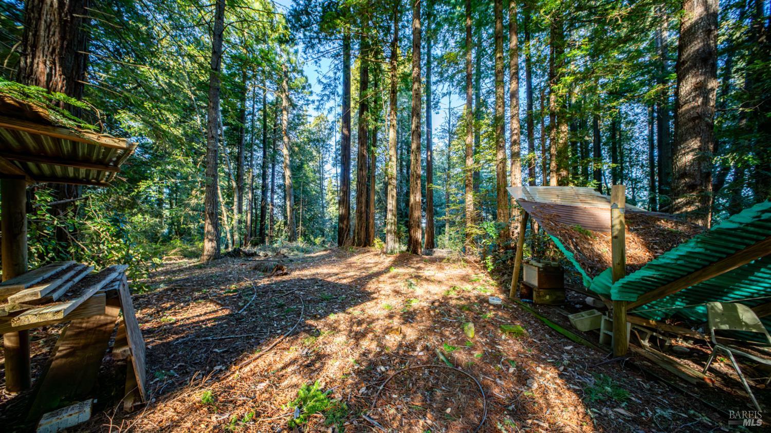 Detail Gallery Image 19 of 30 For 17470 Willow Creek Rd, Occidental,  CA 95465 - – Beds | – Baths