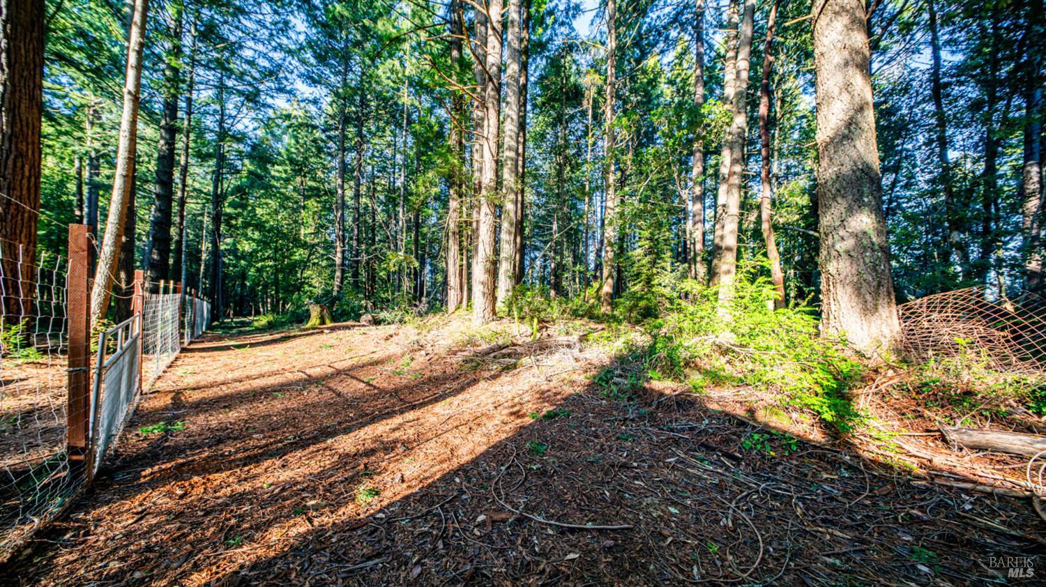 Detail Gallery Image 28 of 30 For 17470 Willow Creek Rd, Occidental,  CA 95465 - – Beds | – Baths