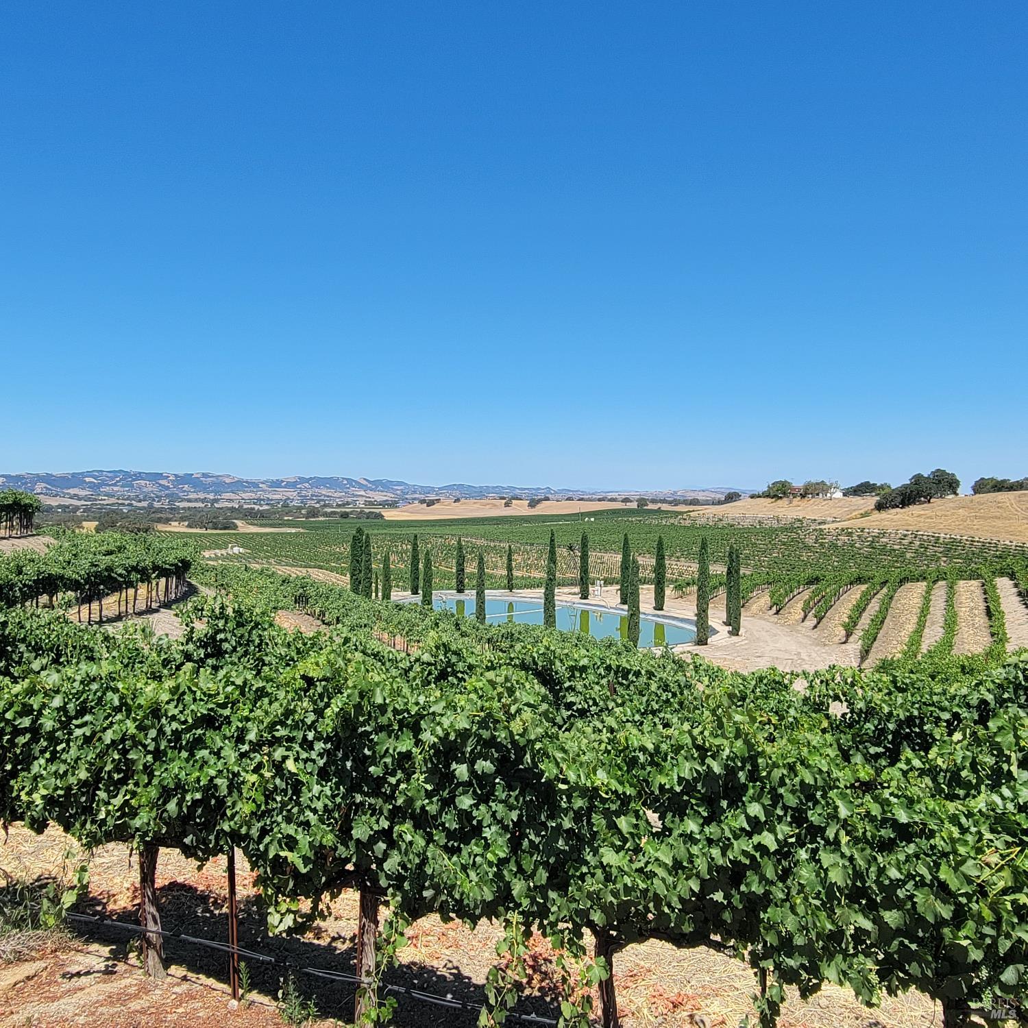 Detail Gallery Image 15 of 16 For 4900 Union Rd, Paso Robles,  CA 93446 - – Beds | – Baths