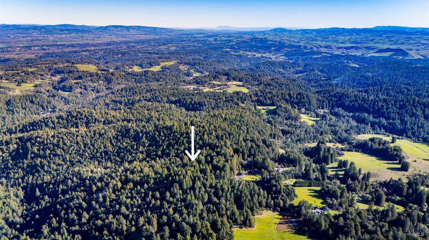 Detail Gallery Image 3 of 30 For 17470 Willow Creek Rd, Occidental,  CA 95465 - – Beds | – Baths