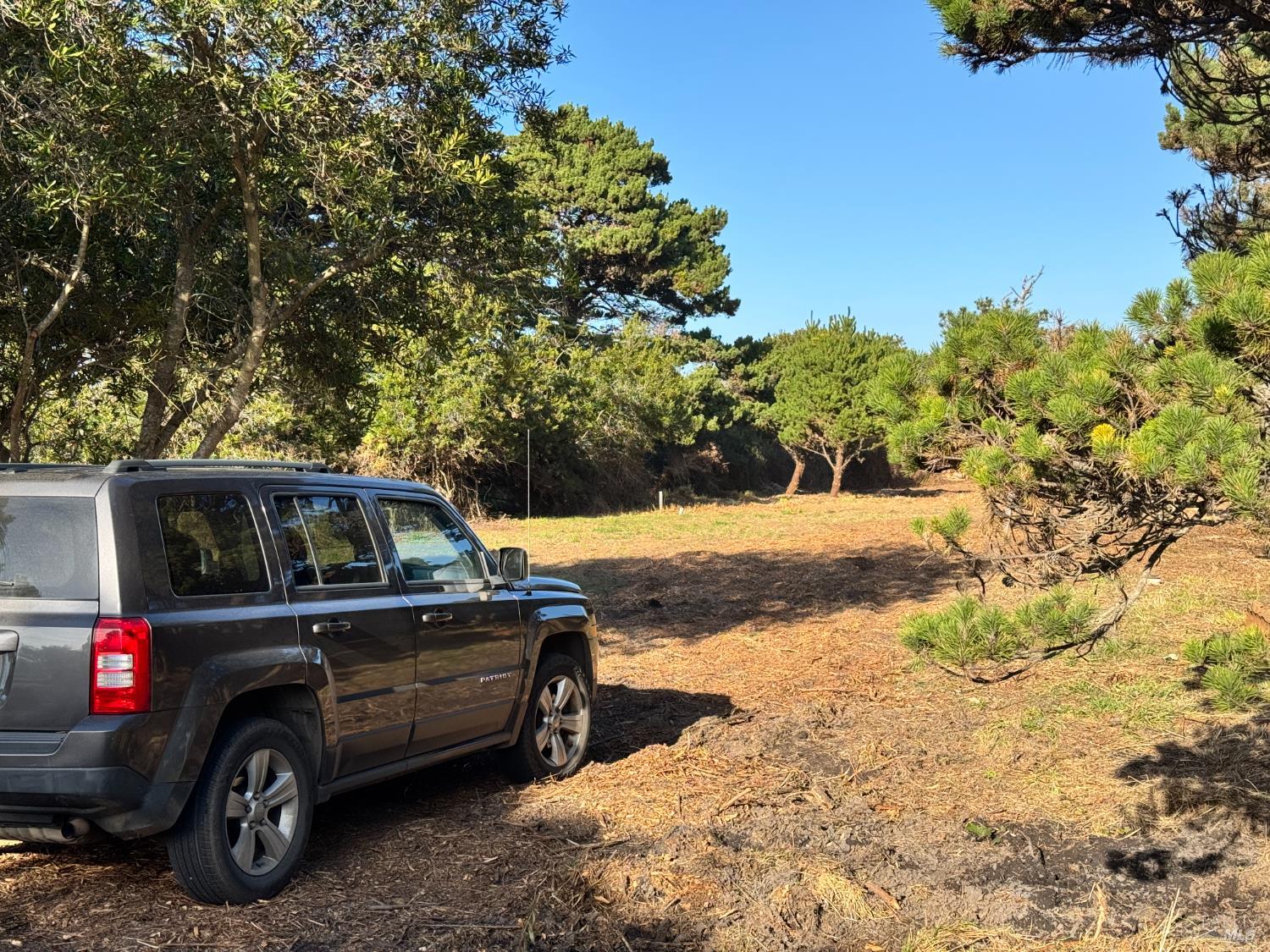 Detail Gallery Image 2 of 4 For 25261 Ward Ave, Fort Bragg,  CA 95437 - – Beds | – Baths