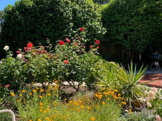 Detail Gallery Image 69 of 74 For 55 Las Casas Dr, San Rafael,  CA 94901 - 3 Beds | 2/1 Baths