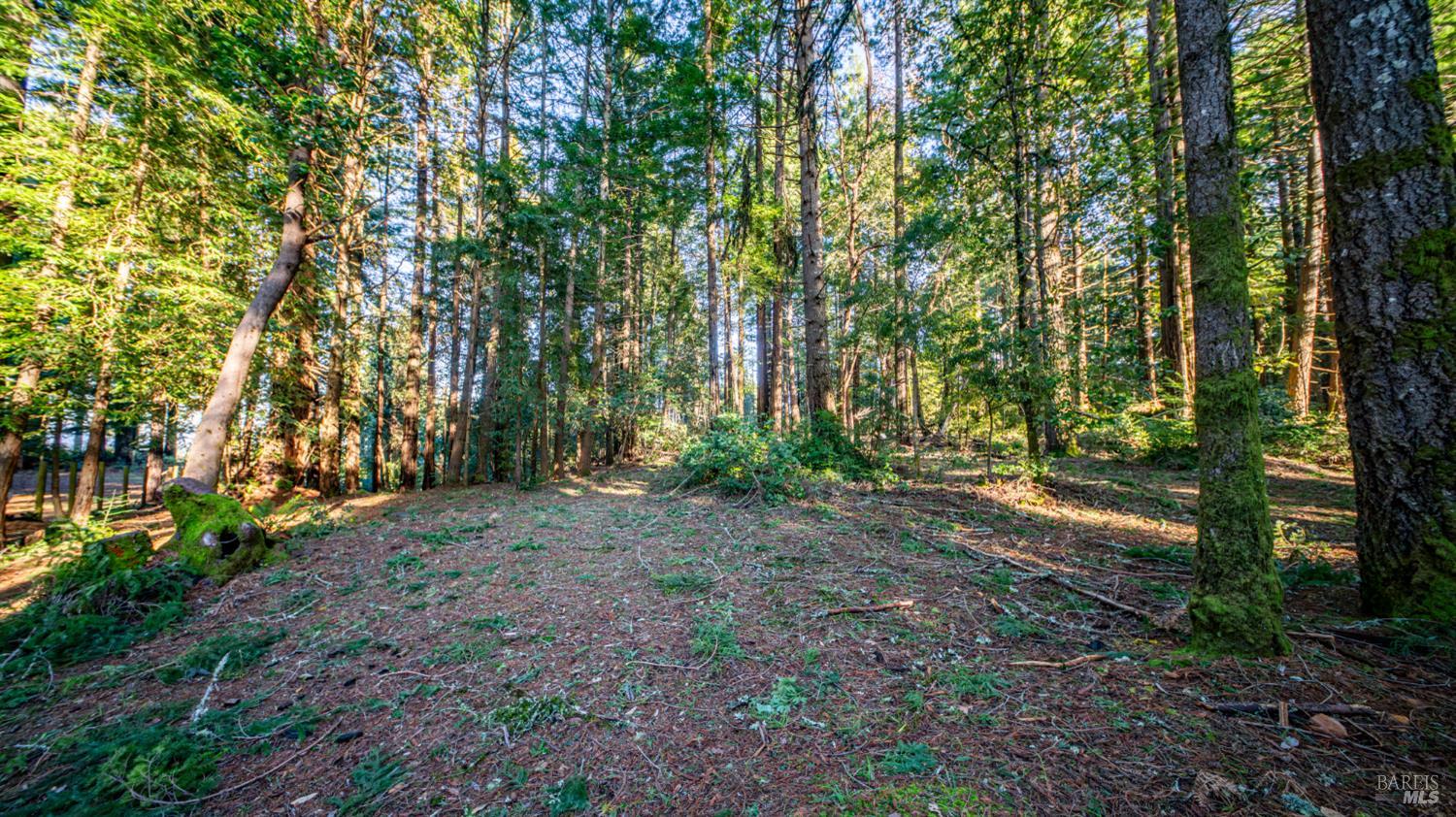 Detail Gallery Image 25 of 30 For 17470 Willow Creek Rd, Occidental,  CA 95465 - – Beds | – Baths