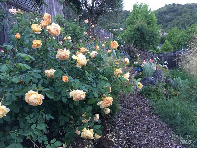 Detail Gallery Image 71 of 74 For 55 Las Casas Dr, San Rafael,  CA 94901 - 3 Beds | 2/1 Baths