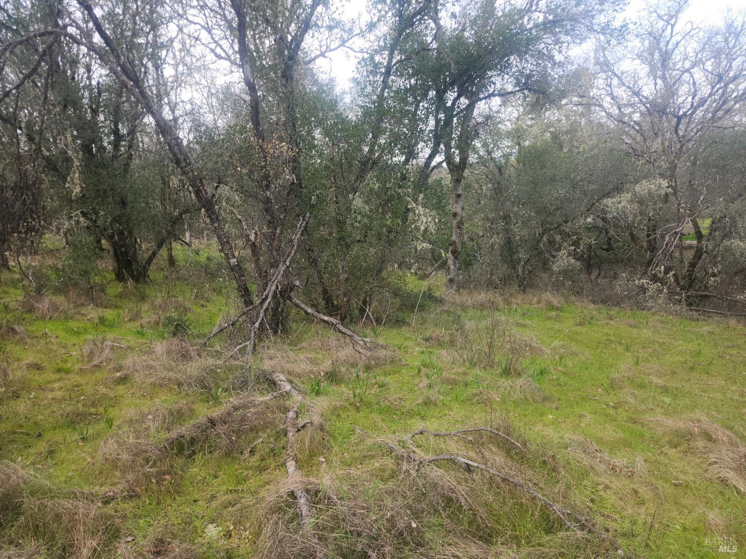 Detail Gallery Image 4 of 6 For 2800 Road B Unkn, Redwood Valley,  CA 95470 - 3 Beds | 1 Baths