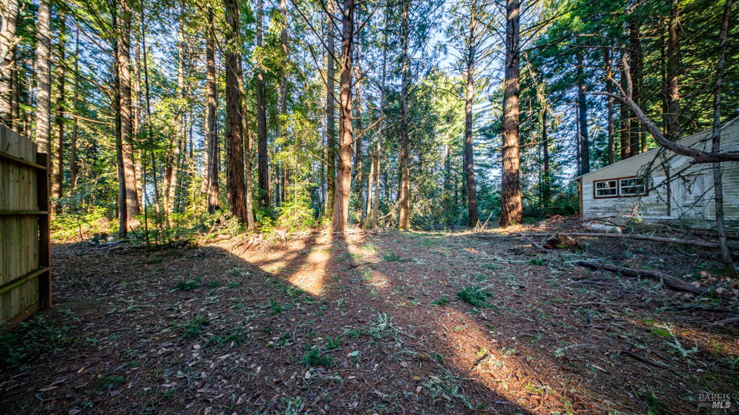 Detail Gallery Image 11 of 30 For 17470 Willow Creek Rd, Occidental,  CA 95465 - – Beds | – Baths