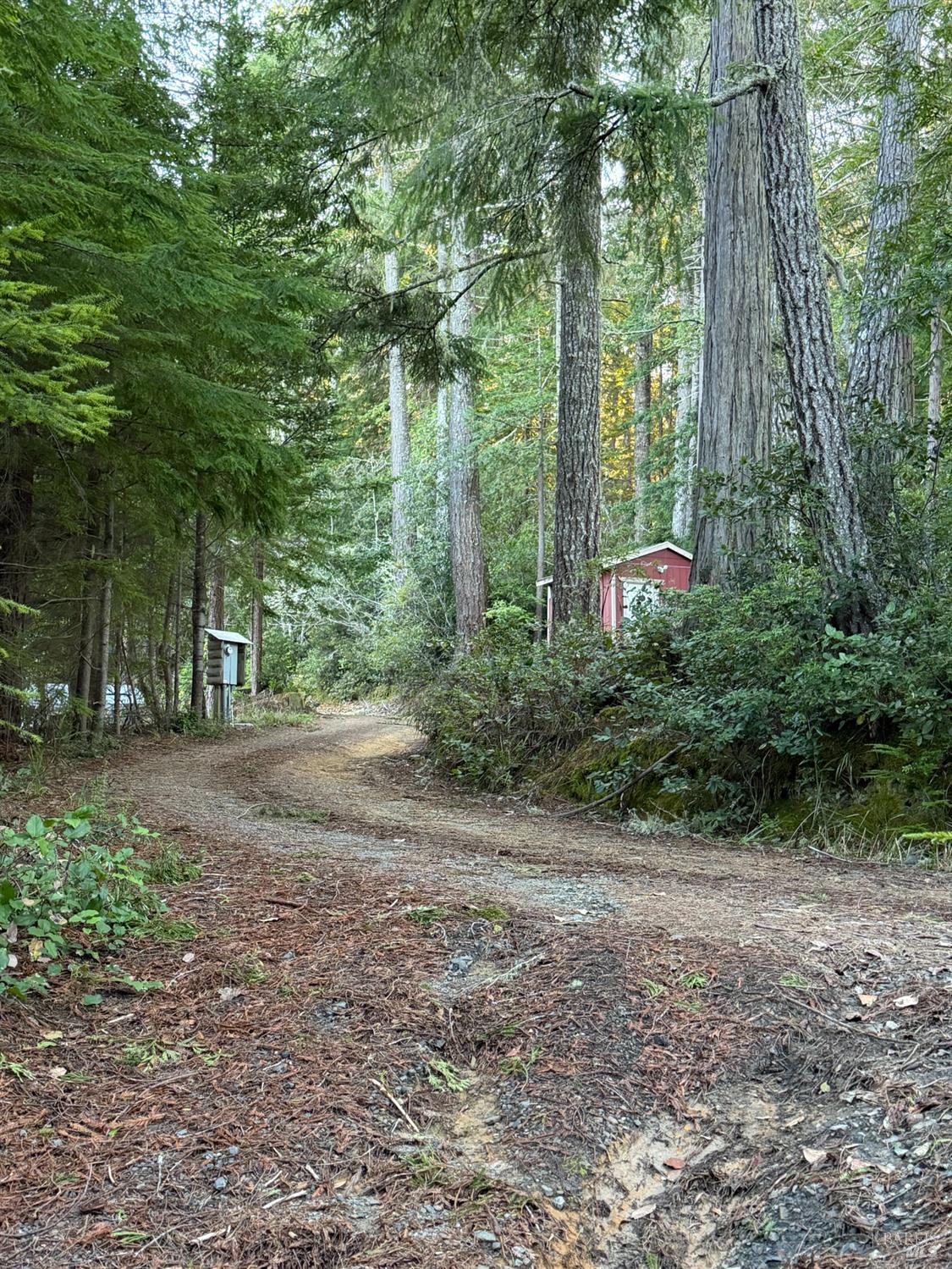 Front Image Thumbnail for BA326005809