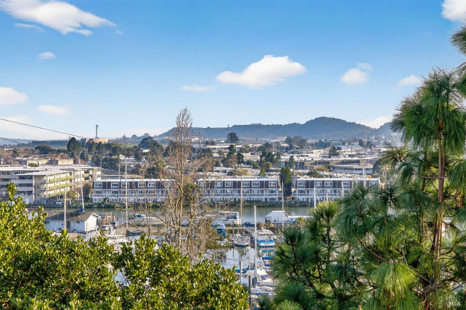 Detail Gallery Image 62 of 76 For 60 Marina Court Dr, San Rafael,  CA 94901 - 4 Beds | 3 Baths