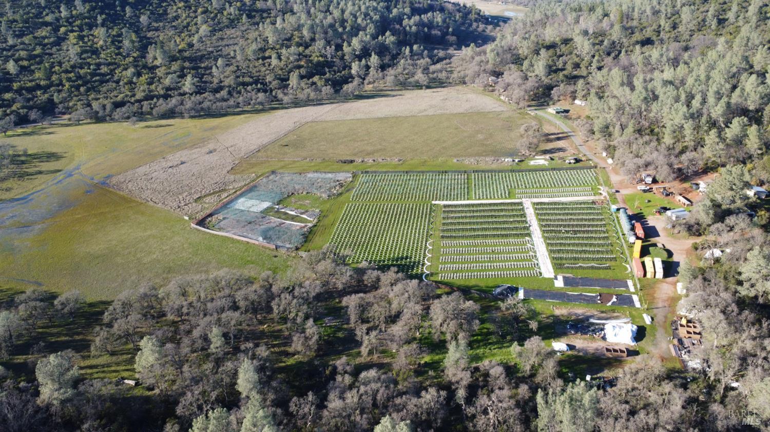 Detail Gallery Image 9 of 13 For Address Is Not Disclosed, Lower Lake,  CA 95457 - 4 Beds | 2 Baths