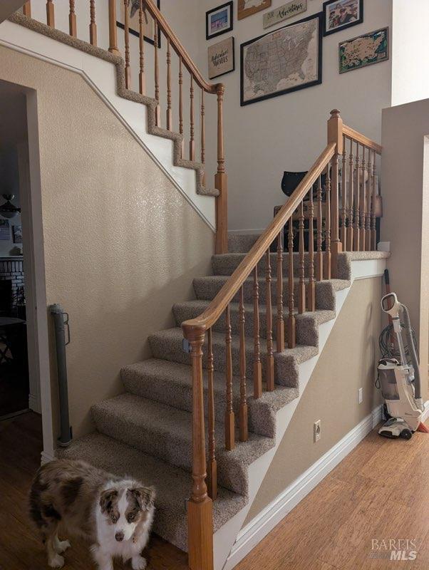 Detail Gallery Image 8 of 12 For 109 Tuxedo Ct, Petaluma,  CA 94954 - 4 Beds | 2/1 Baths