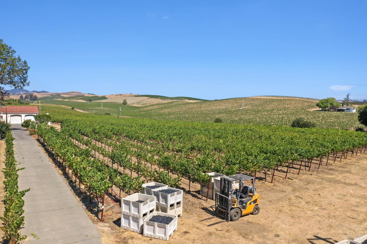 Detail Gallery Image 4 of 24 For 5267 Old Sonoma Rd, Napa,  CA 94559 - 5 Beds | 3/1 Baths