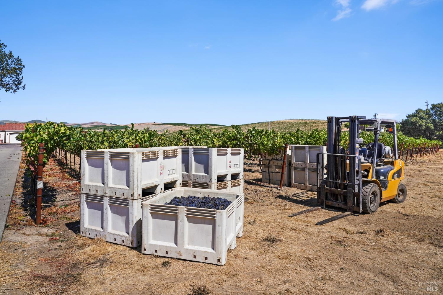 Detail Gallery Image 5 of 24 For 5267 Old Sonoma Rd, Napa,  CA 94559 - 5 Beds | 3/1 Baths