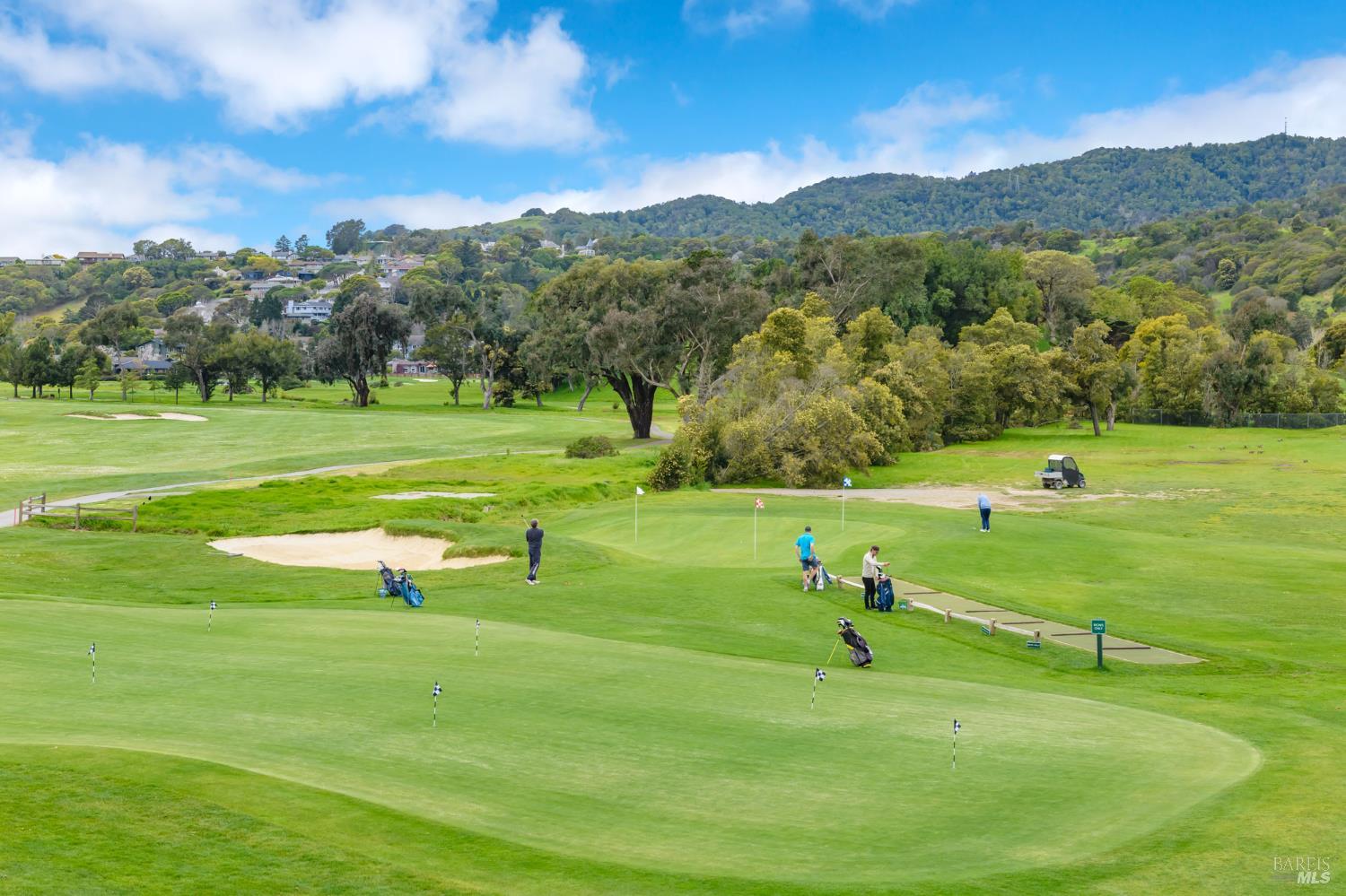 Detail Gallery Image 41 of 48 For 94 Biscayne Dr, San Rafael,  CA 94901 - 2 Beds | 2 Baths