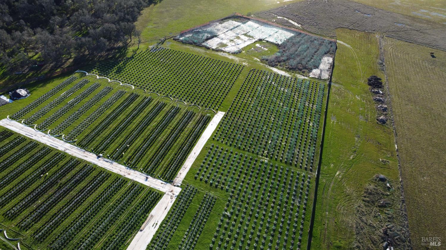 Detail Gallery Image 10 of 13 For Address Is Not Disclosed, Lower Lake,  CA 95457 - 4 Beds | 2 Baths