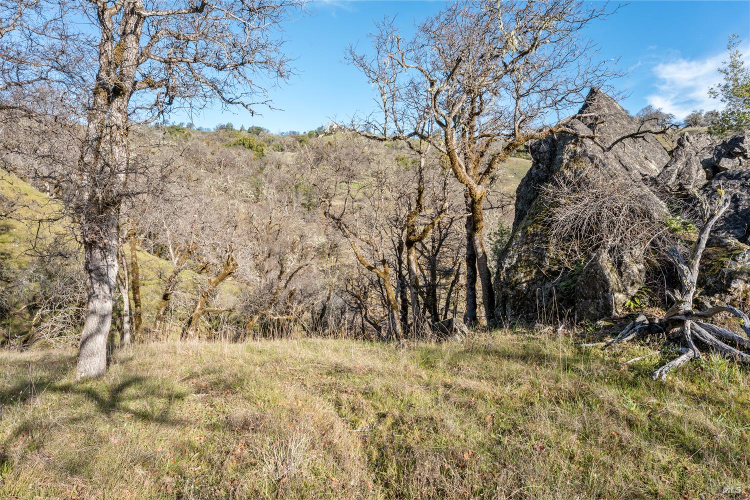 Detail Gallery Image 16 of 29 For 5400 Orr Springs Rd, Ukiah,  CA 95482 - – Beds | – Baths